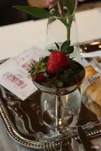 Opera Wellness - 34