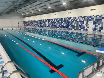 Афина - 53