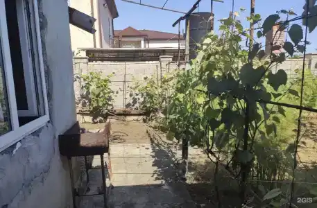 Акуна Матата - 11