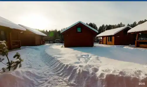 Кедр - 13