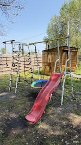 Зелёный бор - 31