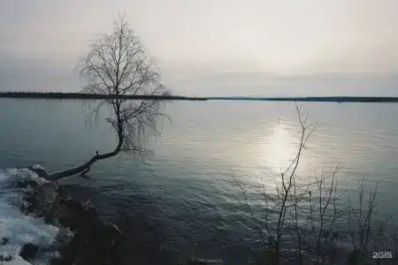 Лесная - 65