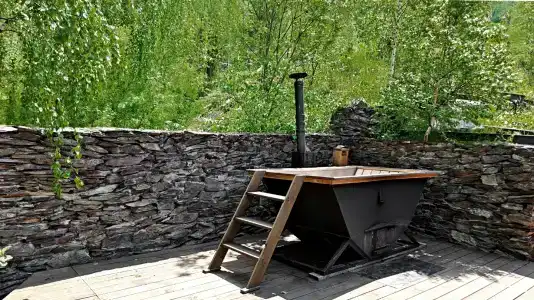 Альпийское эхо - 85