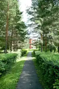 Березки - 19