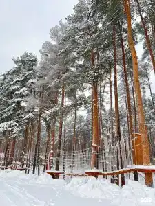 Северный берег - 46