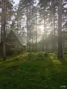 Таёжный yгол - 18