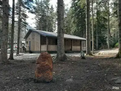 Wood palace - 54