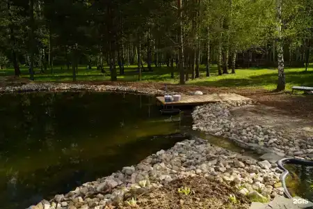 Золотой Куркозель - 8