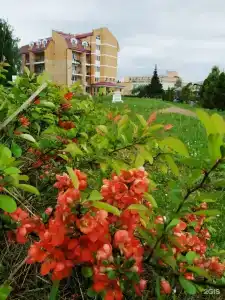 Виктория - 25