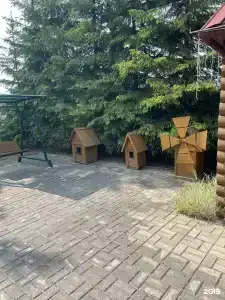 Транзит - 46