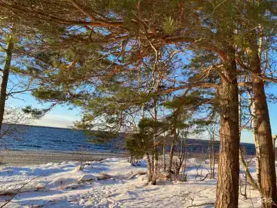Частный дом на Береговой - 21