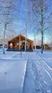 Зелёный бор - 29