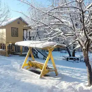 Яблоневый сад - 25