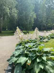Нагорное - 21