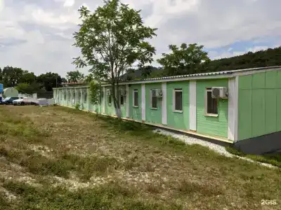 Кедр - 3