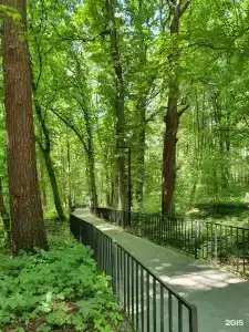 GreenDom - 16