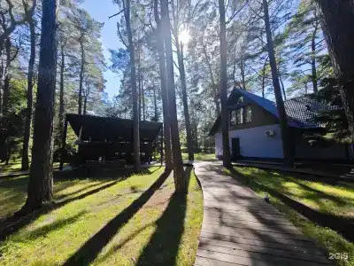 Кедр - 17