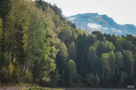 Урочище Актра - 43