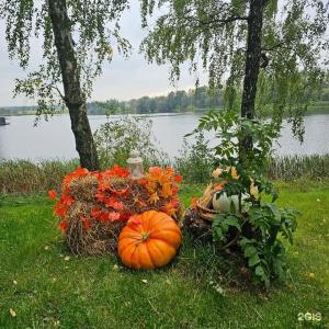 Lake-Ville - 29