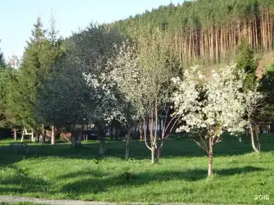Парма - 53