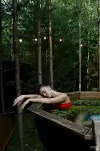 Хворост - 17