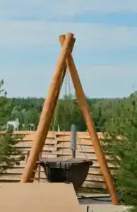 Берёзовая роща - 99