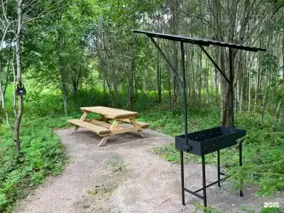 Домик в лесу в Синковицах - 0