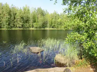 Заветное - 36