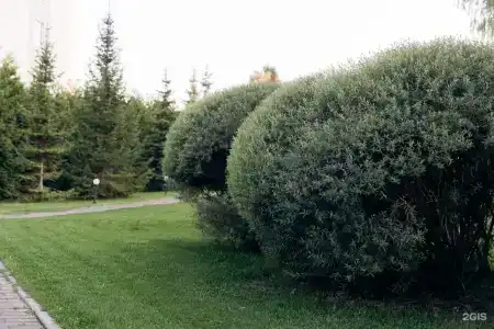 Для Вас - 12