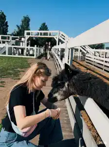 Пара Альпак - 57