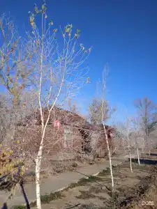 Каспийские раскаты - 92
