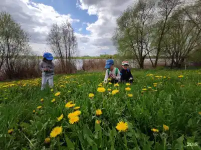 Зазерки - 20