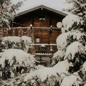 Dream Village Oksino - 25