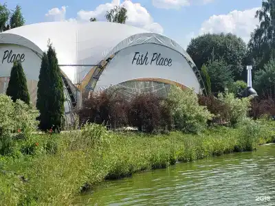Fish Place - 35