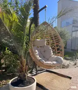 Little Palm - 2