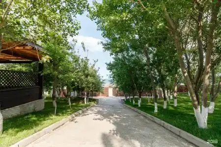 Дельфин - 30