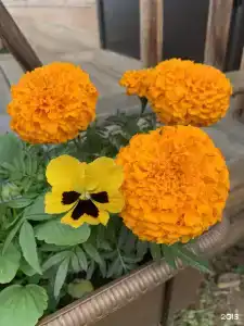 Мелодия Ольхона - 48