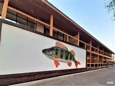 Fish Sense - 2