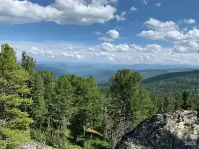Тайга - 14