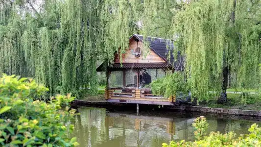 Кура-Цеце - 17