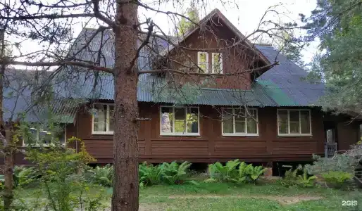 Шишки - 28