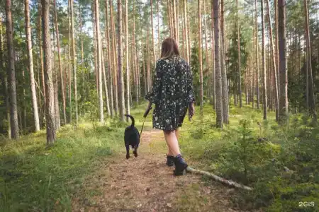 Заветное - 41