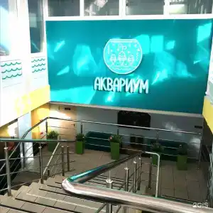 Эдельвейс - 120