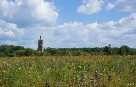 Восемь обезьян - 14