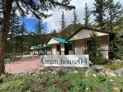 Green House04 - 7