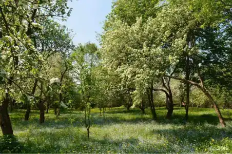 VE art resort - 37