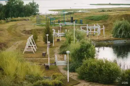 Пичуги - 1