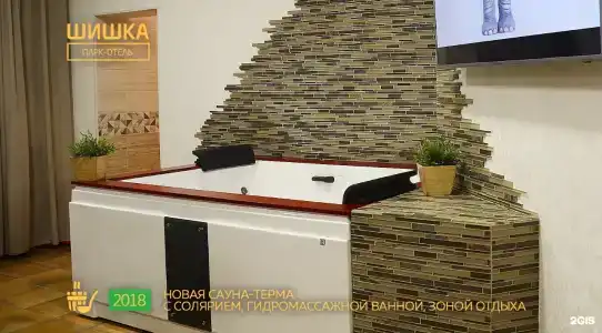 Шишка - 20