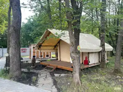 Солнечная поляна - 12