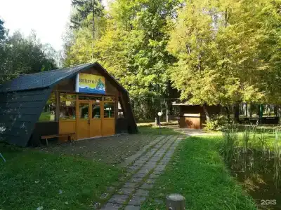 Голицыно - 43